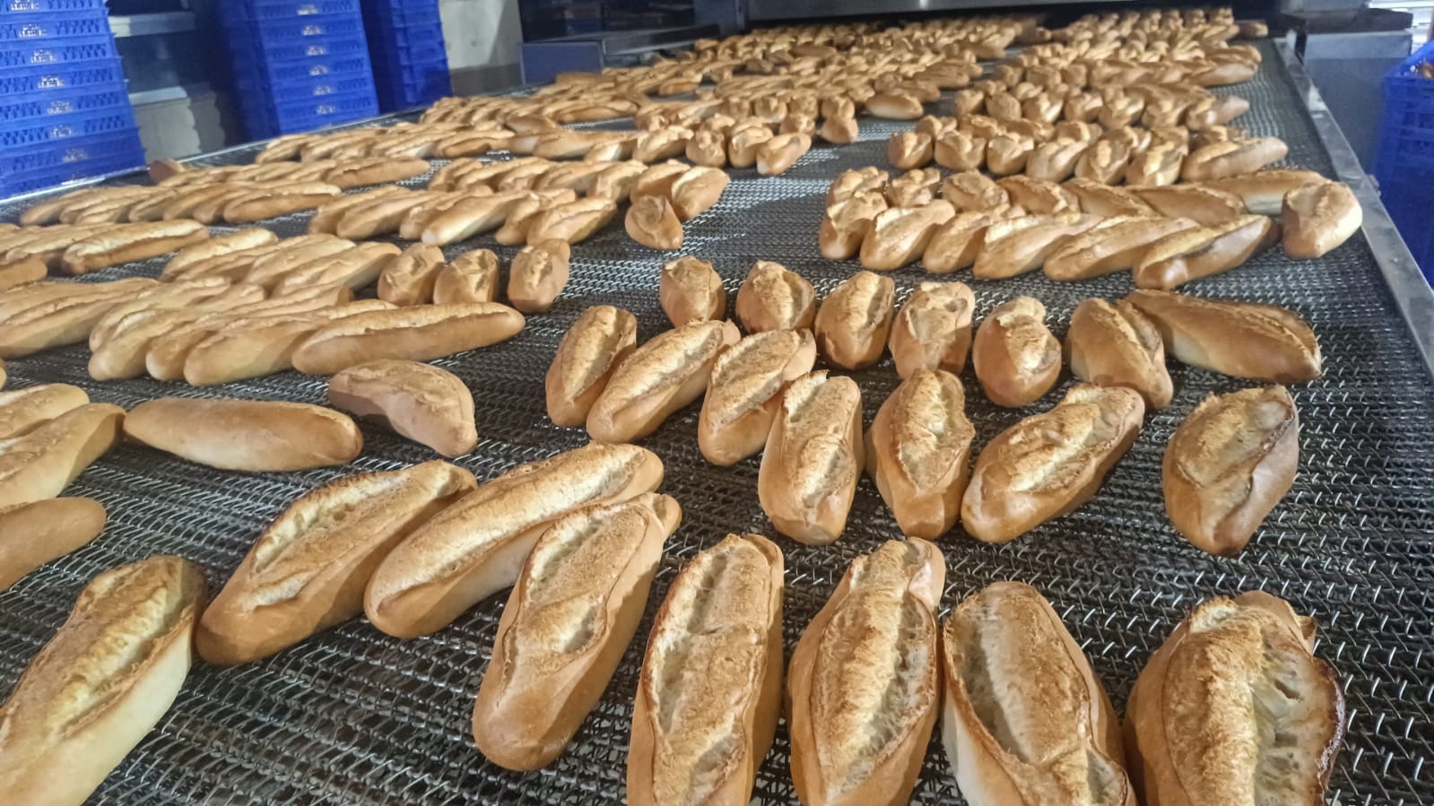 Batman’da Günlük 40 Bin Ekmek Ücretsiz Dağıtılıyor