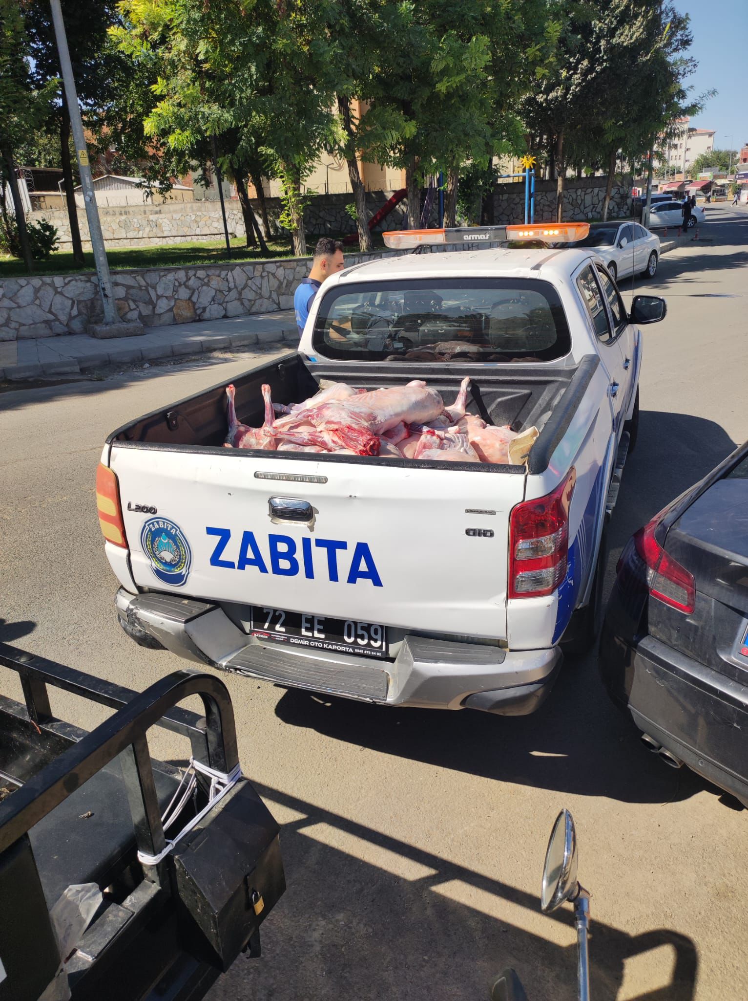 15 Küçükbaş Hayvan İmha Edildi: 42 Bin TL Ceza Kesildi