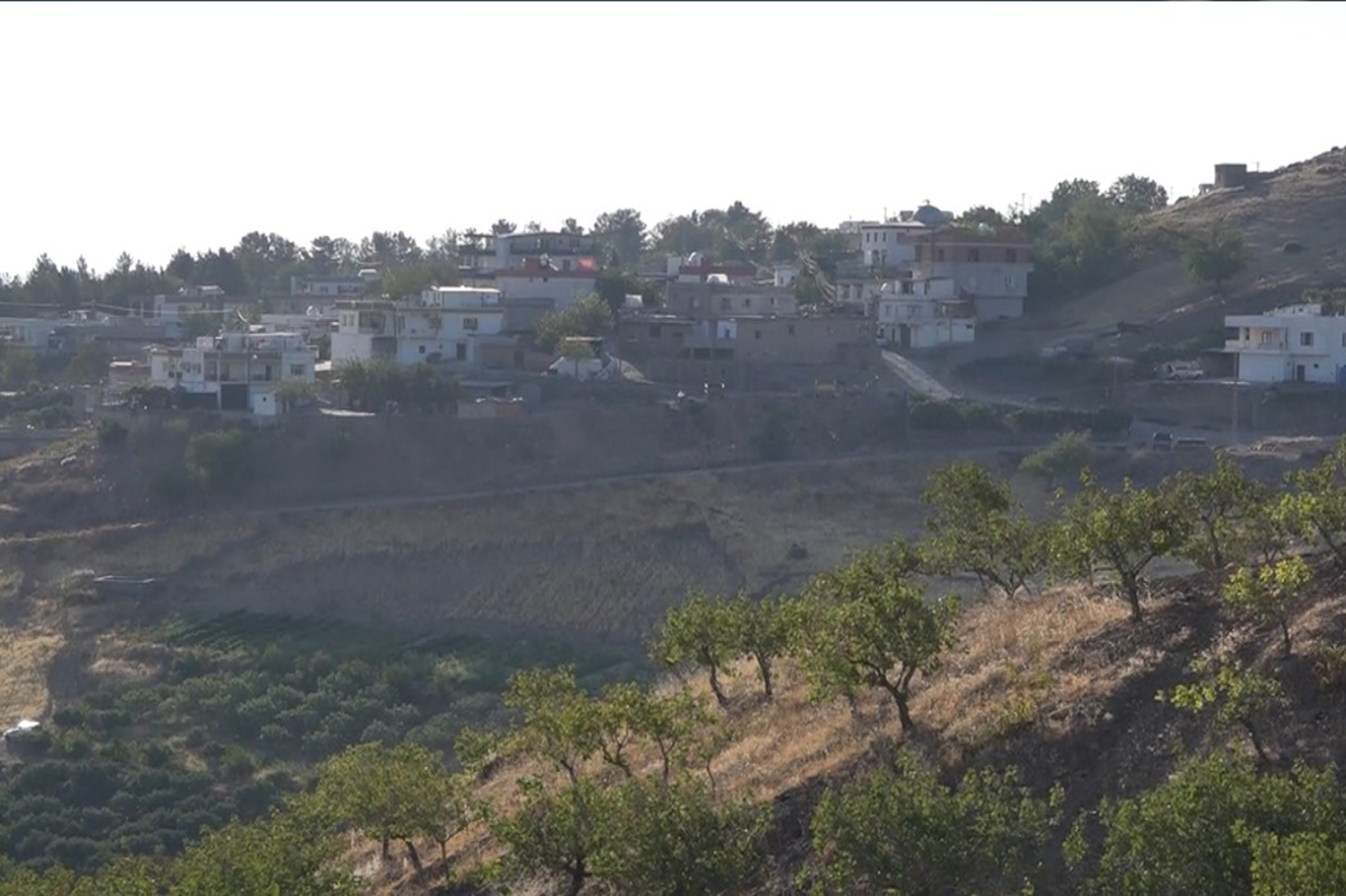 Batman’da bu köyün geliri incirden sağlanıyor