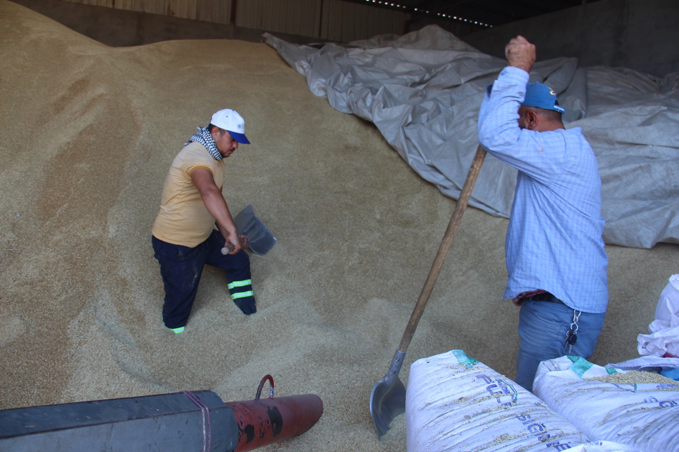 Zahire Pazarında Hayat Sırtlarda Taşınıyor