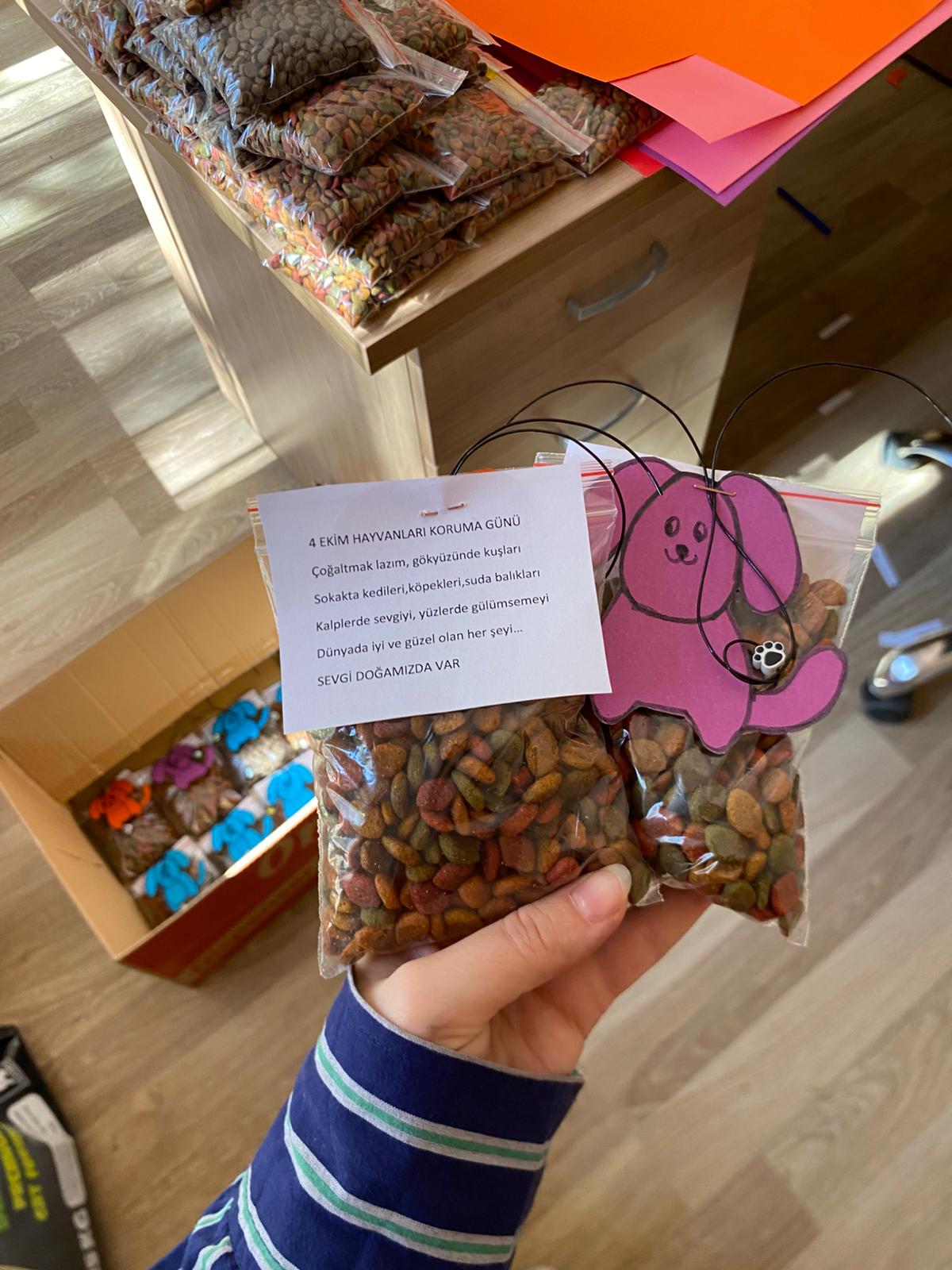 Genç Gönüllülerden Hayvan Hakları Farkındalığı