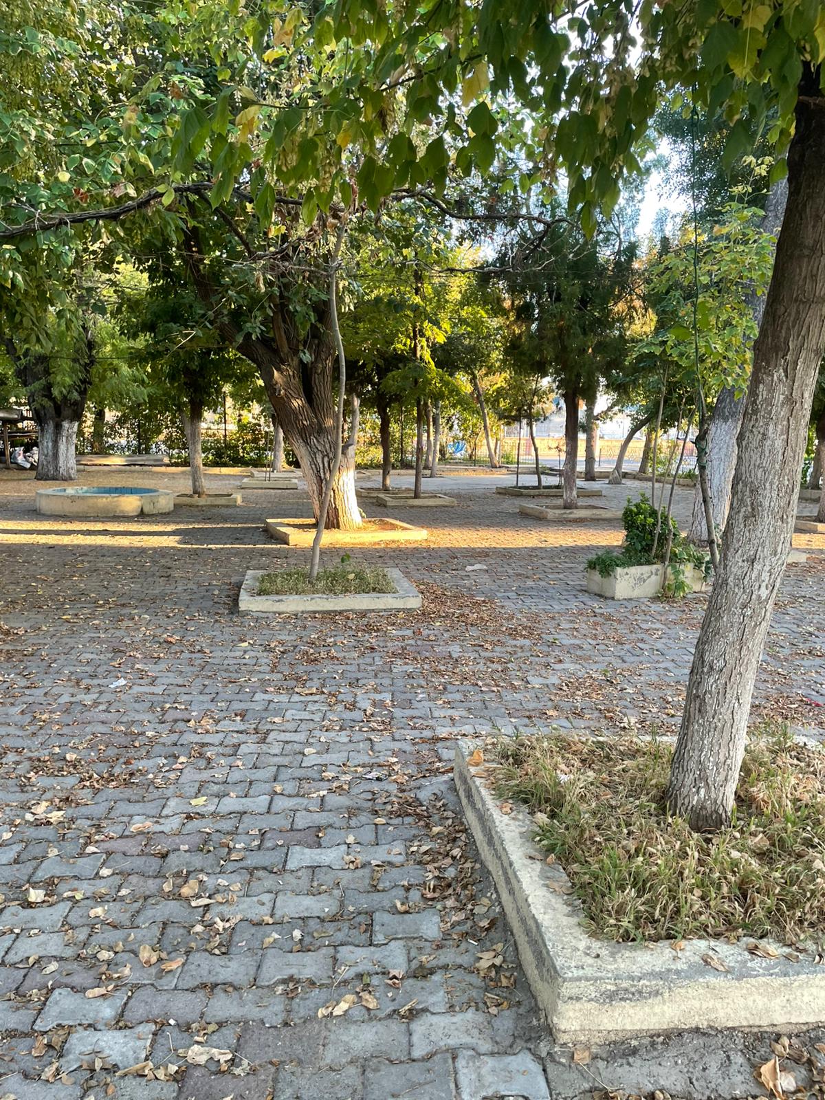 “Alt Geçit Bahanesiyle Ağaçlara Kıymayın!”