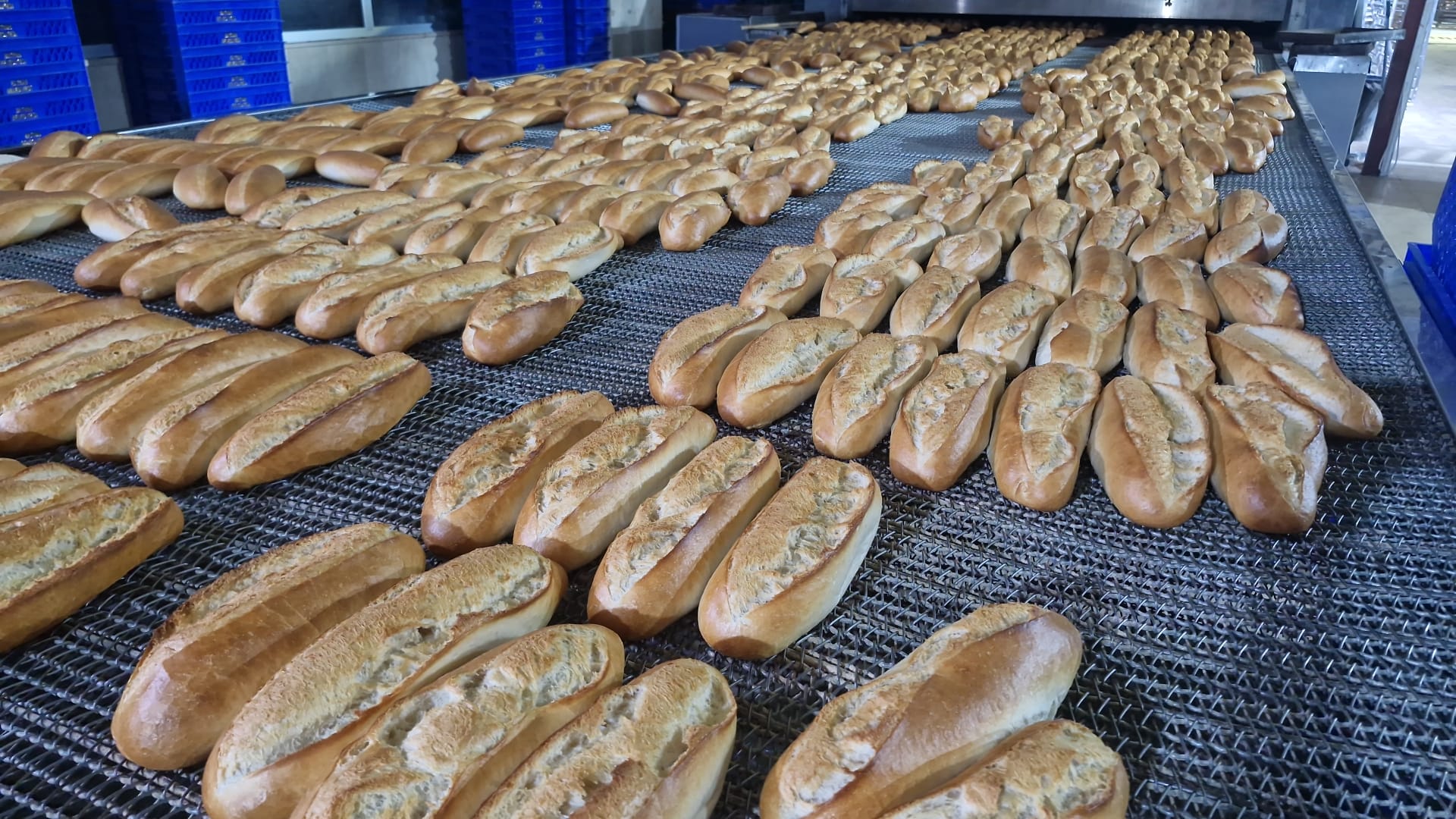 Günde 40 Bin Ücretsiz Ekmek Desteği