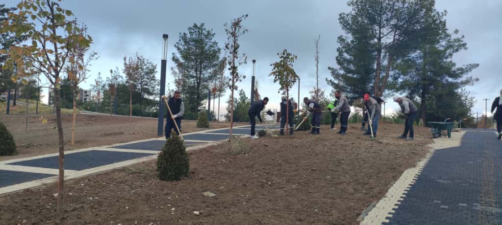 Peyzaj Düzenleme Çalışmaları Başladı