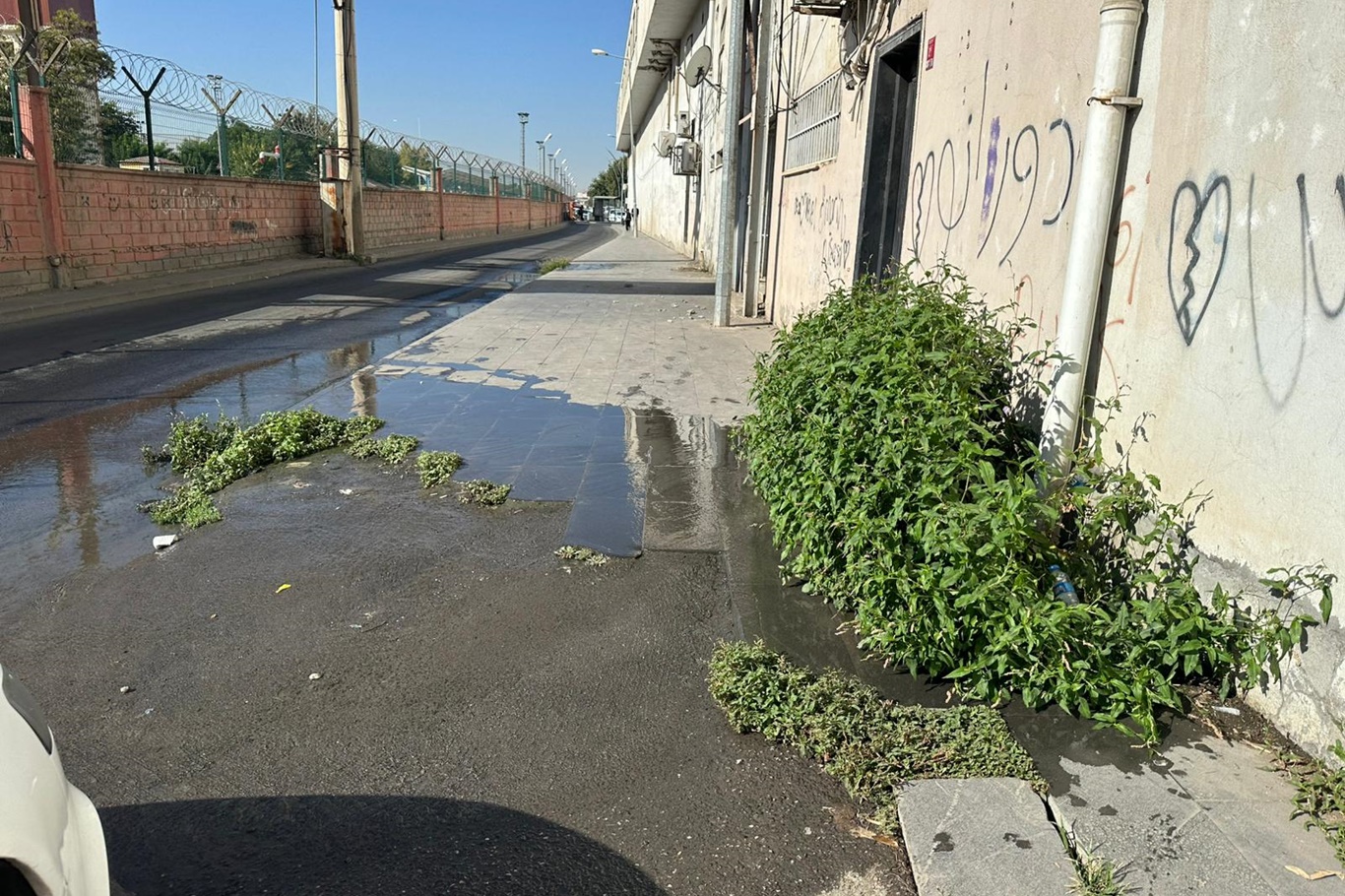 Patlayan Su Borusu Günlerdir Tamir Edilmiyor