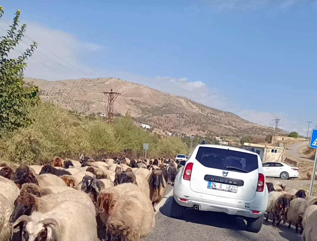 Göçerlerin Yaylalardan Dönüş Yolculuğu Başladı
