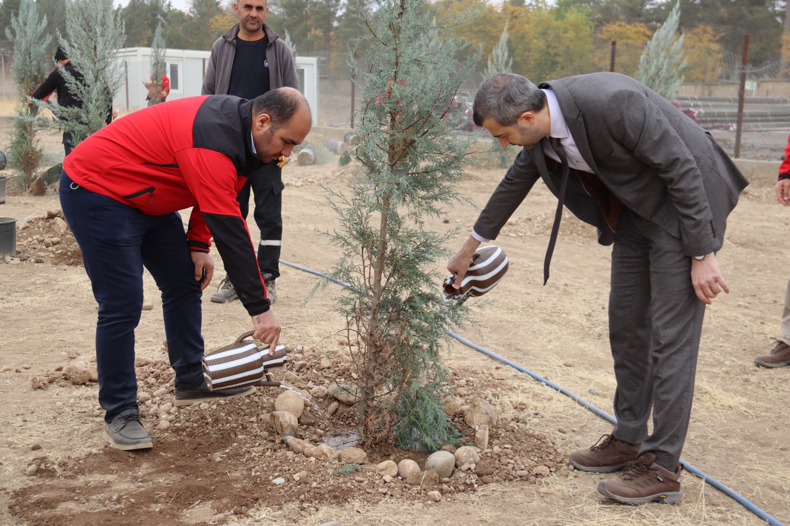TPAO’dan Yeşil Vatan’a 500 Fidan