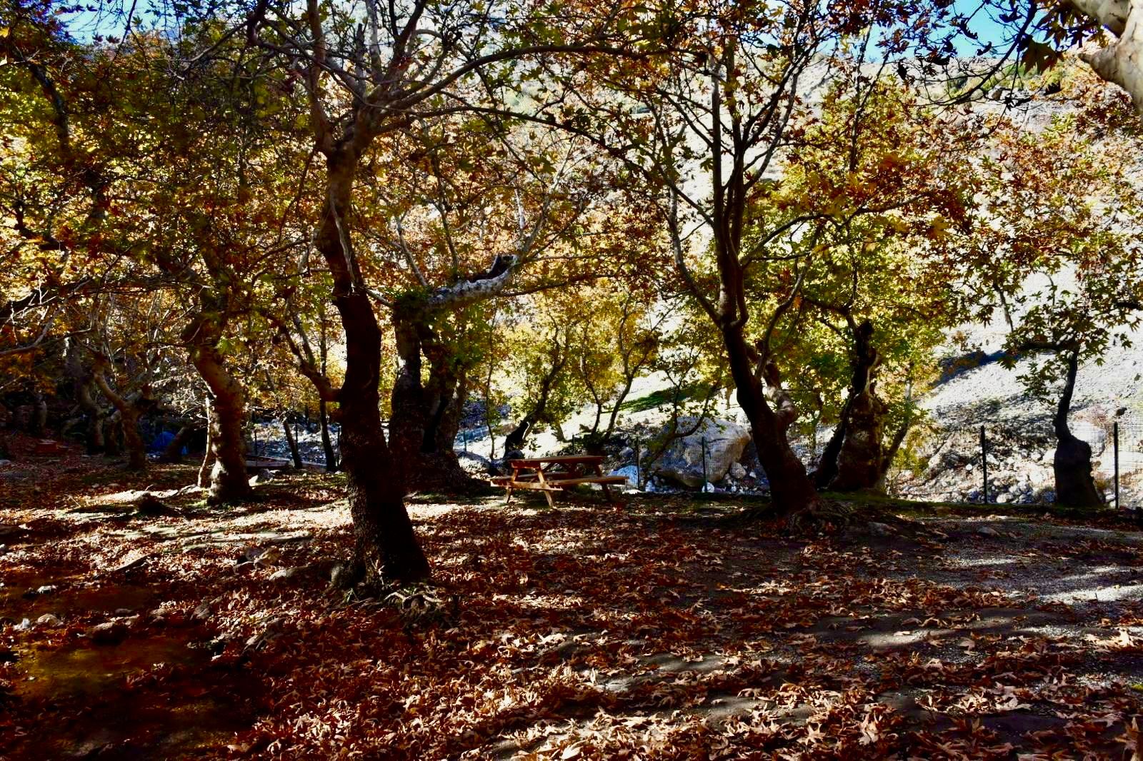 Sason Kınalı Mesire Alanı Yenileme Çalışmalarıyla Hazırlanıyor