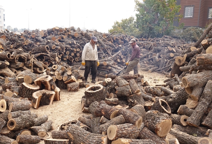 Kuraklık Tezgâhı Vurdu