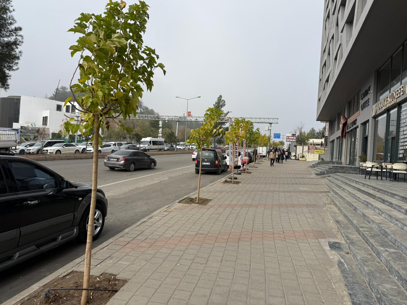 Kavşak Düzenlemesine Ağaç Takviyesi