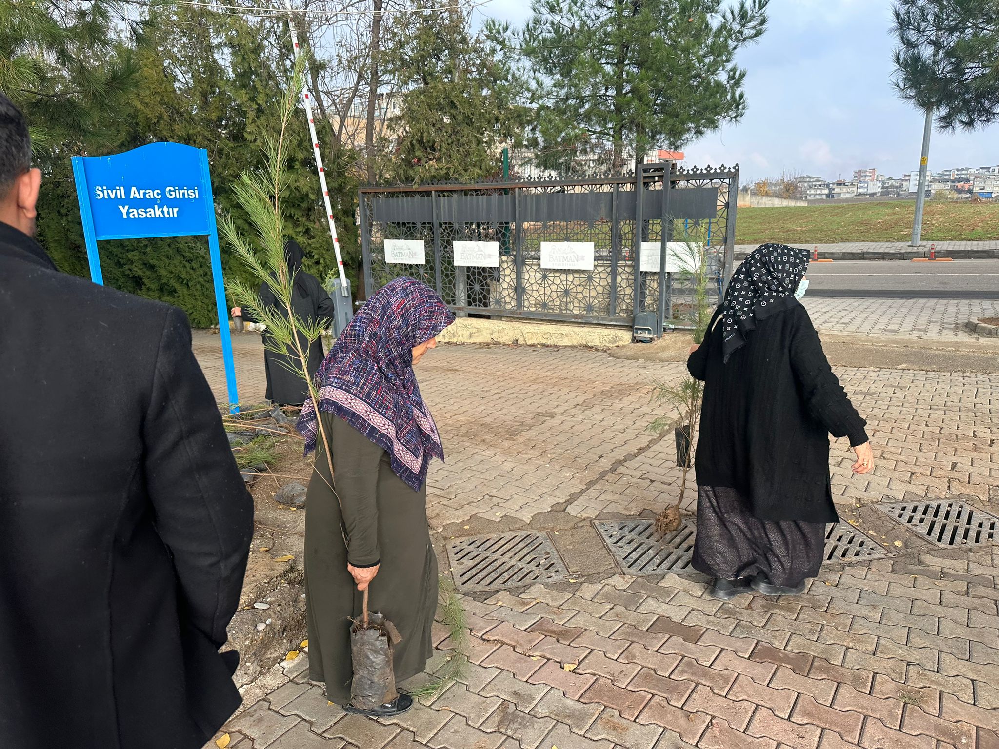 Belediyeden Ücretsiz Fidan Dağıtımı