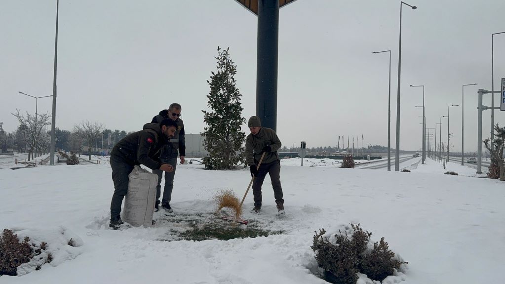 Kırsalda Can Dostlara Yemek