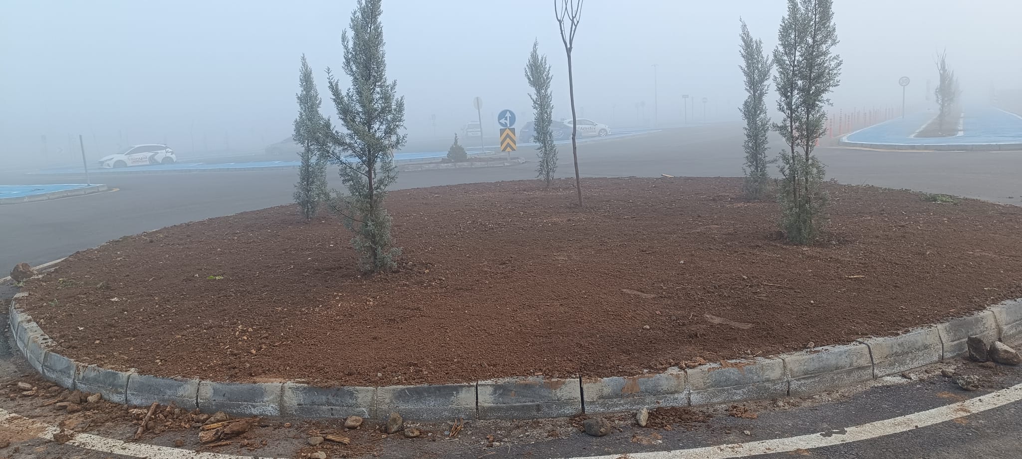 Sürücü Akademisi Yeşilleniyor