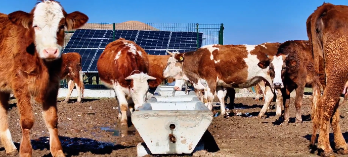 Serçe Parmak Projesi 40 Köye Su Sağladı