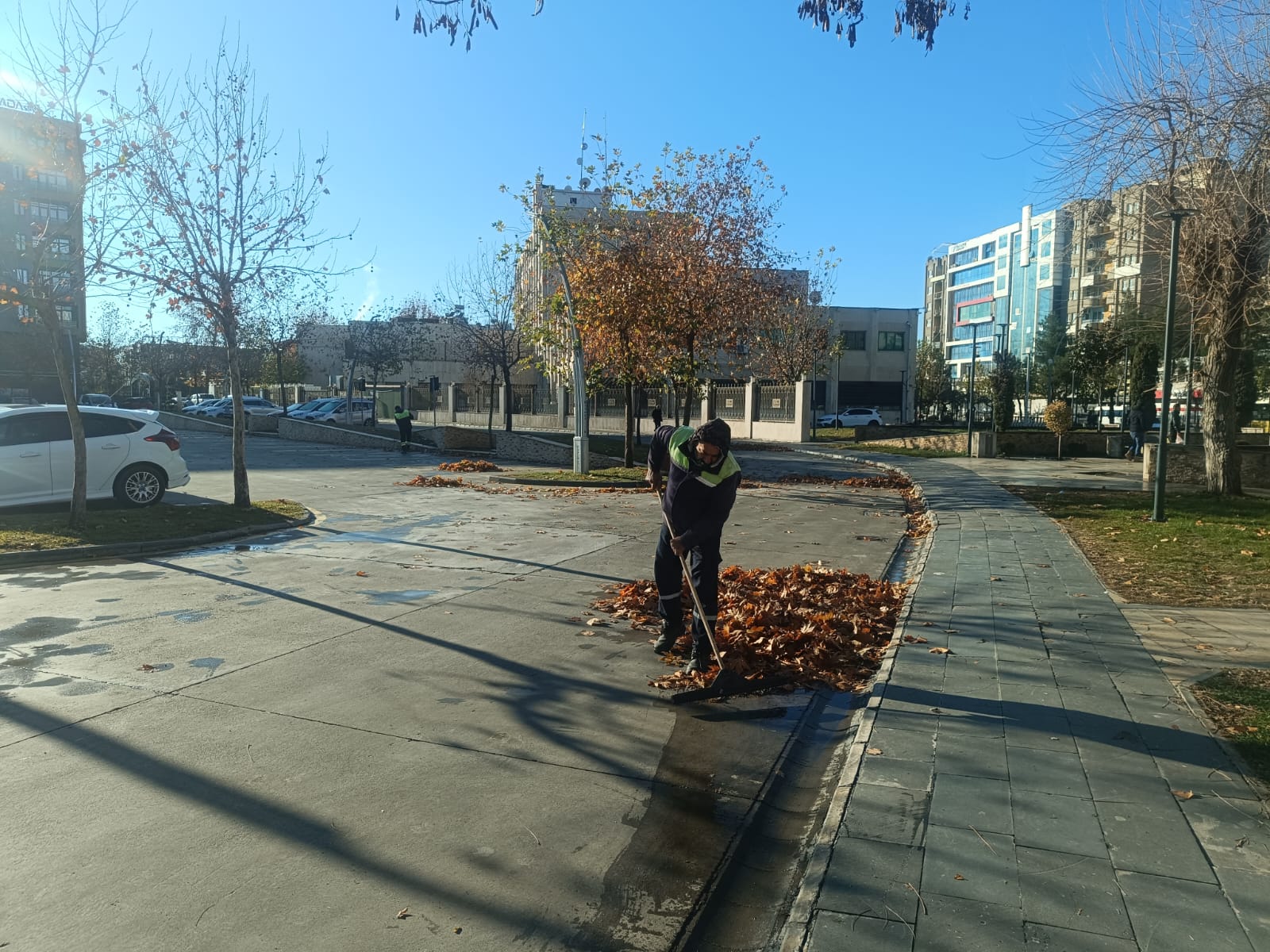 15 Ton Yaprak Toplandı