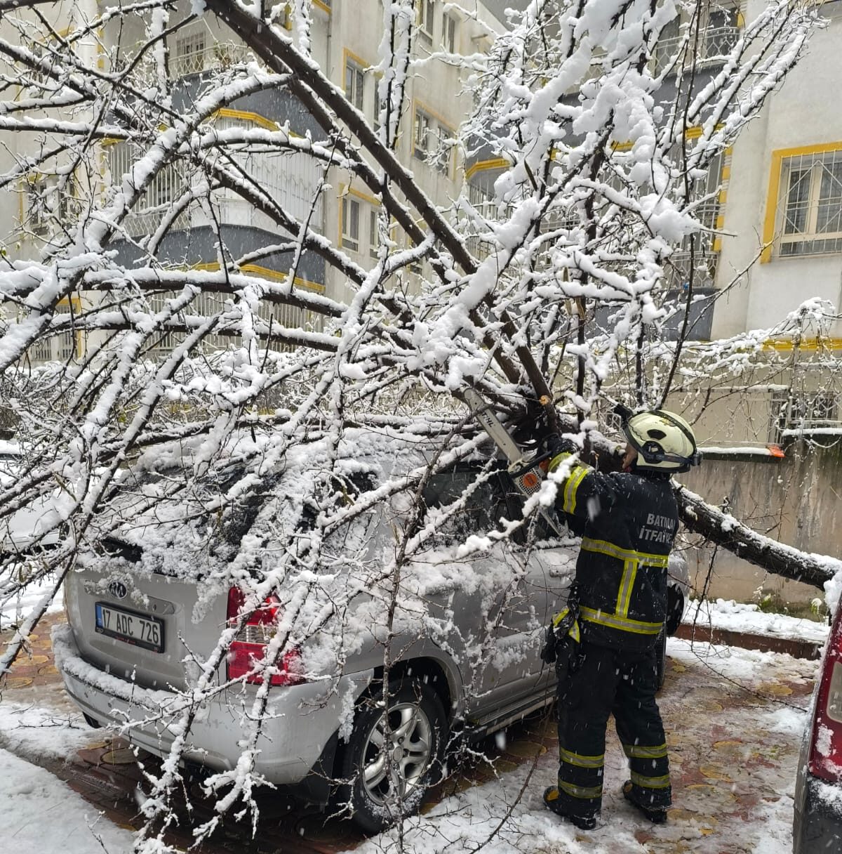 Karın Ağırlığını Taşıyamayan Ağaçlar Kırıldı