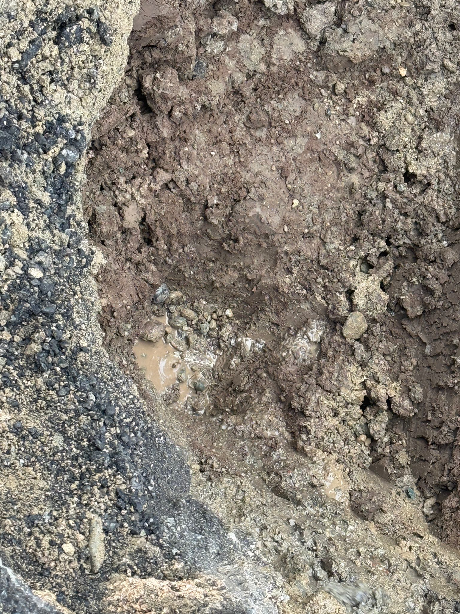 Gece Dinlediler, Gündüz Kazdılar