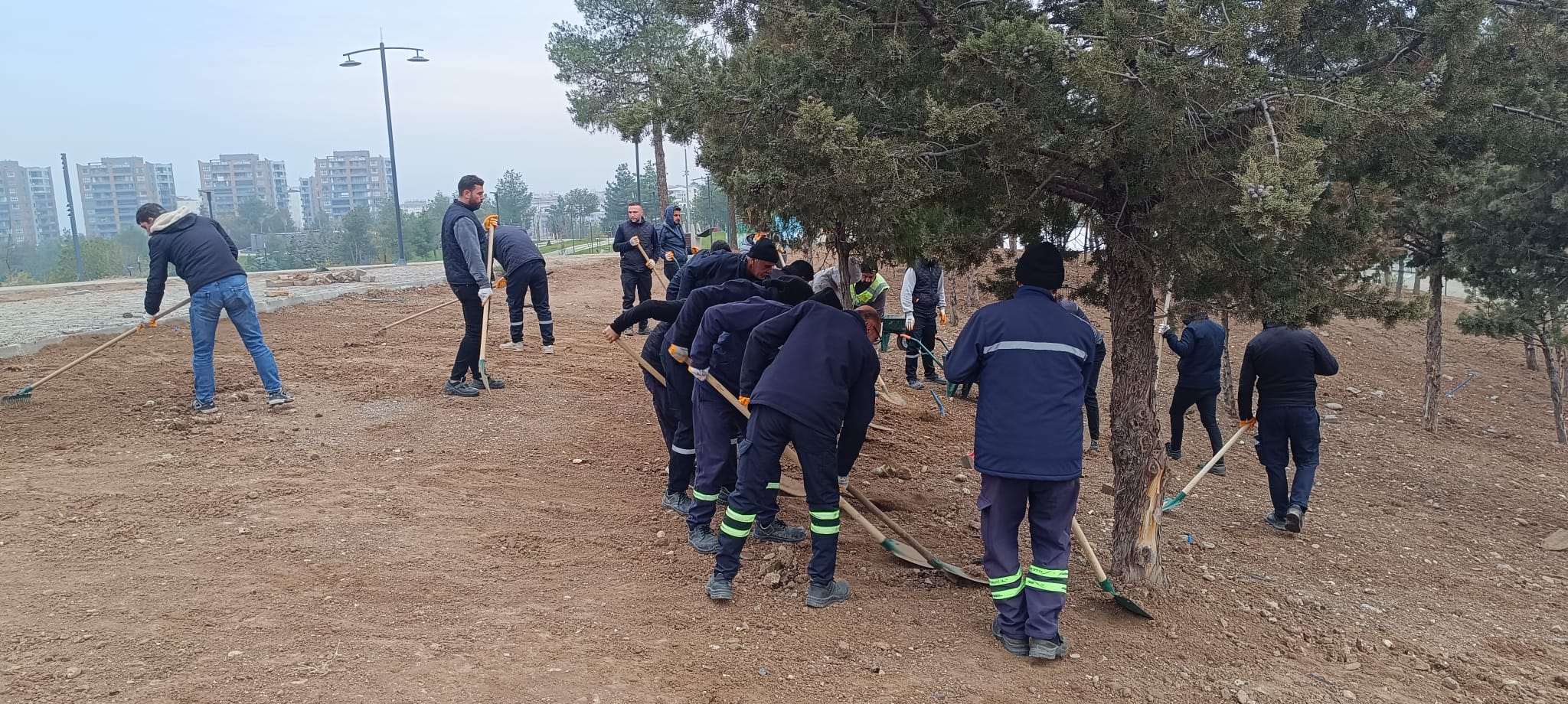 Yaşar Kemal Kent Parkı’nda Çimlendirme Çalışmaları Sürüyor