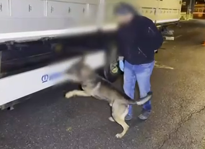 Narkotik Köpeği Mailo, Uyuşturucuya Geçit Vermedi