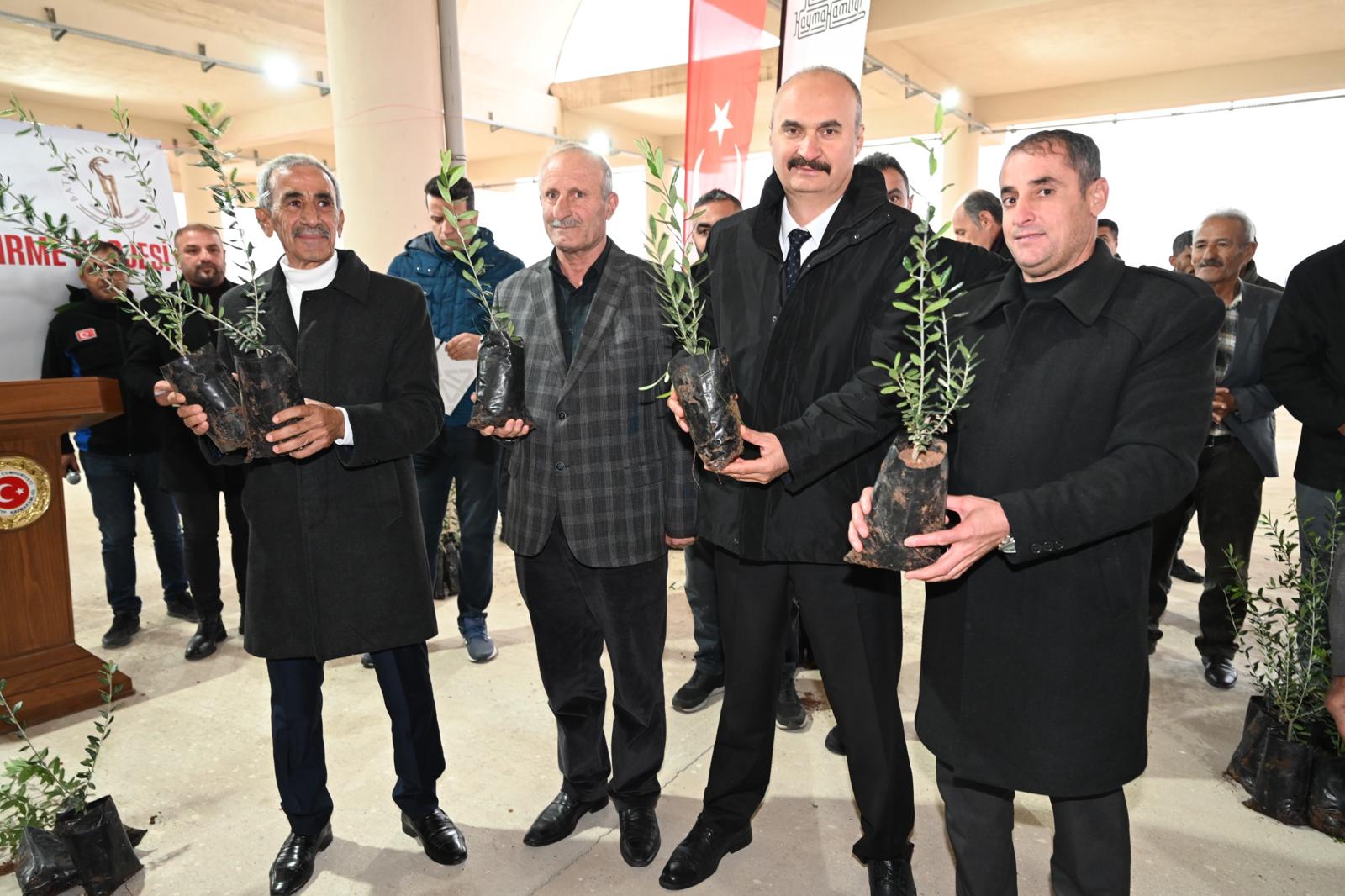 Hasankeyf’te 5 Bin Zeytin Fidanı Dağıtıldı