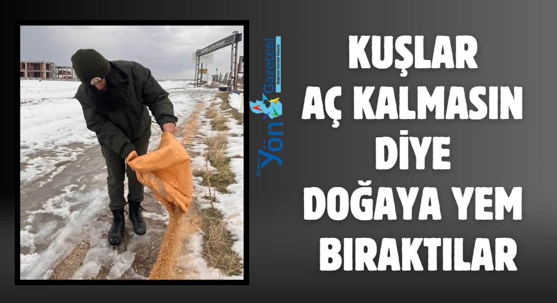 Kuşlar Aç Kalmasın Diye Doğaya Yem Bıraktılar