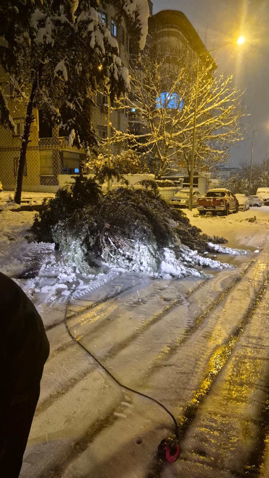 Yoğun Kar Sonrası Riskli Ağaçlara Müdahale