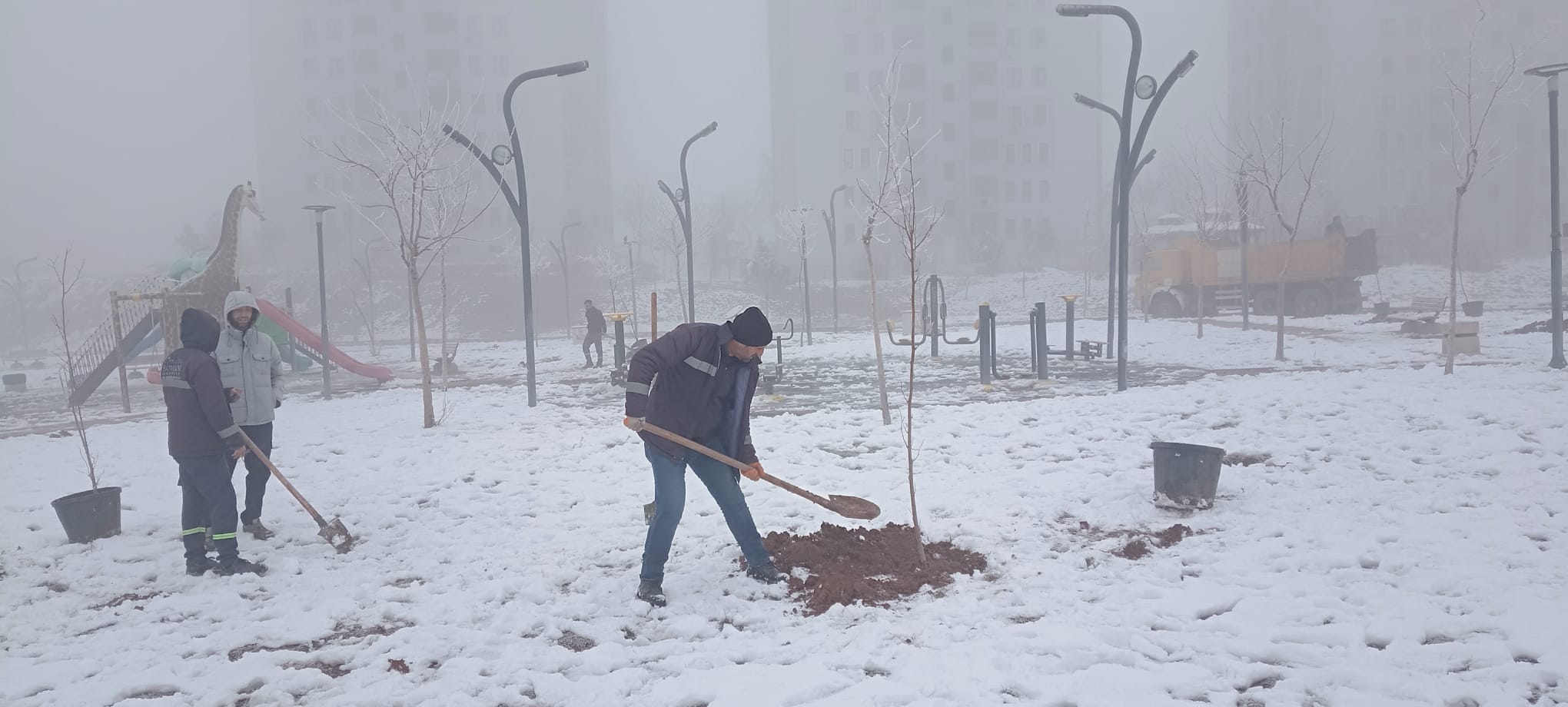 Kuruyan ağaçların yerine yenileri dikiliyor