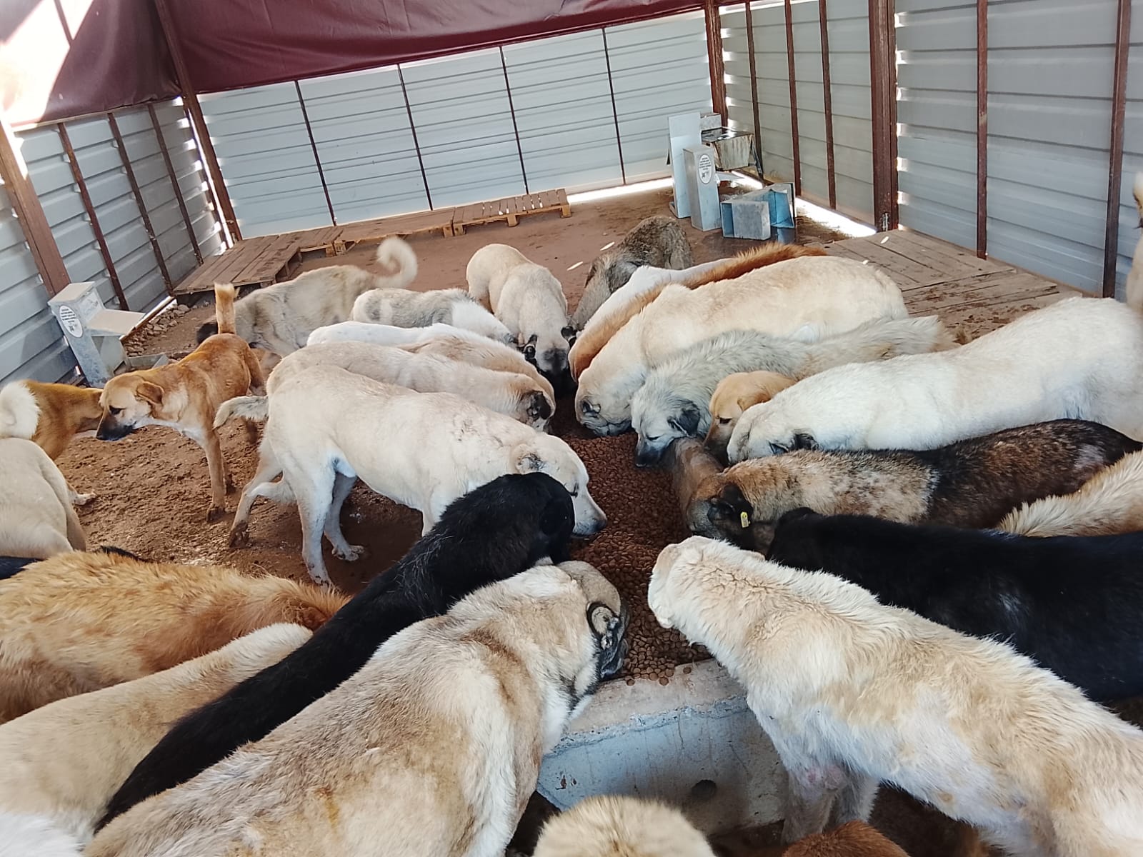 Mama Miktarı Yüzde 50 Artırıldı