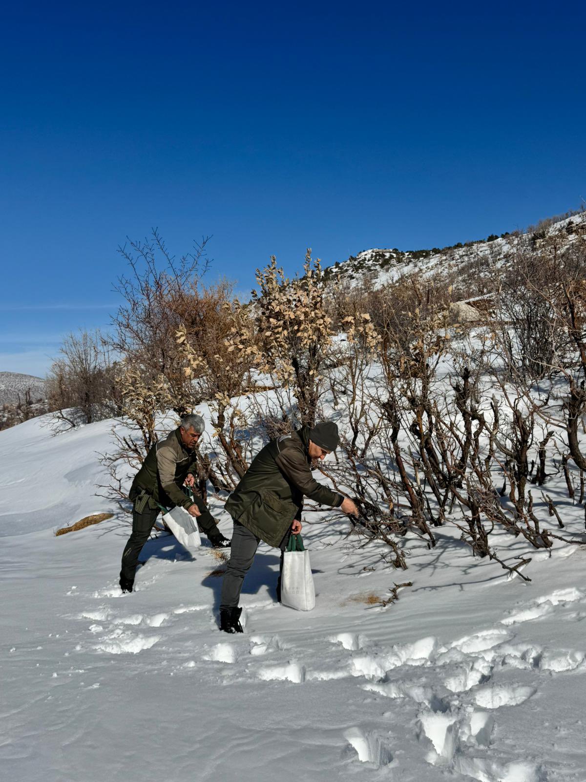 Doğadaki Canlılar Unutulmadı