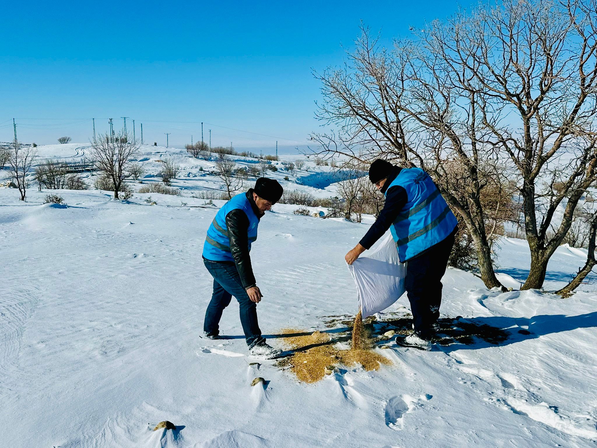 Soğuk havada can dostlara destek