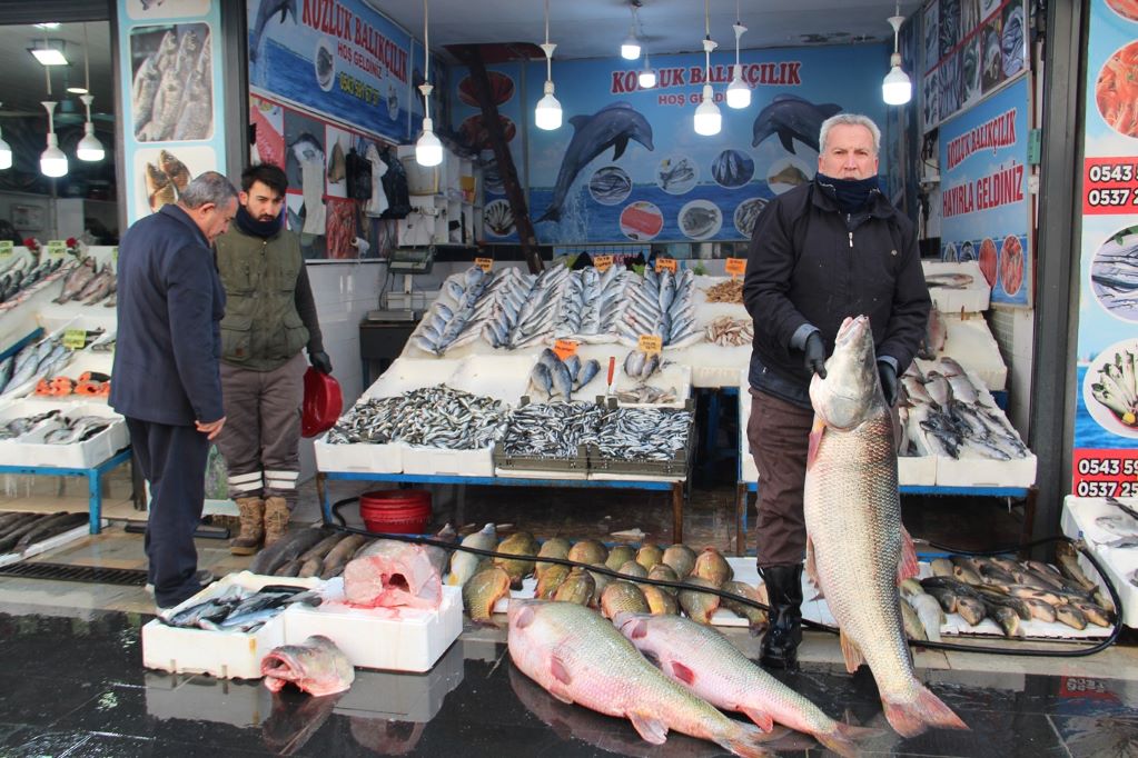 Soğuk Hava Balık Çeşidini Azalttı, Tüketime İlgi Arttı