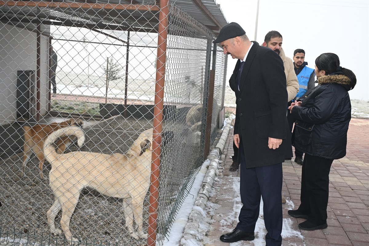 Vali Canalp’tan Barınak Ziyareti