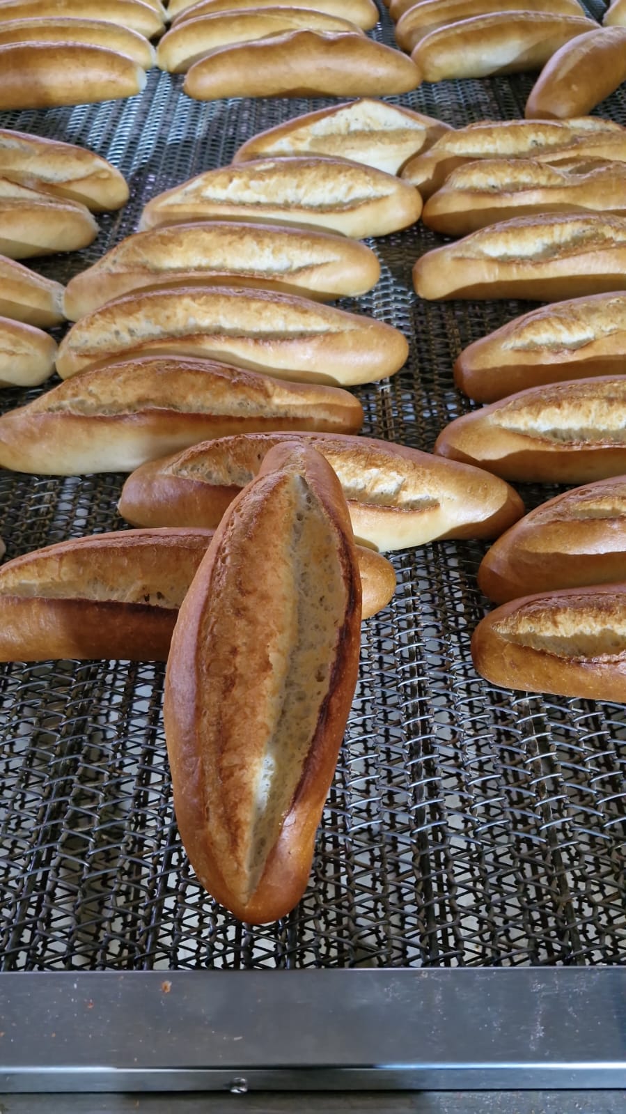 Batman Belediyesi Günde 40 Bin Ekmek Dağıtıyor