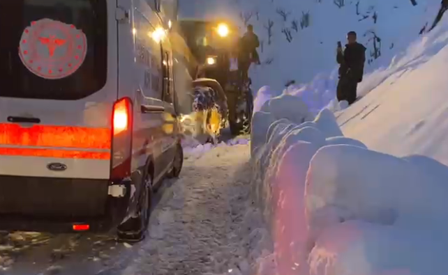 Karla Kapanan Yol Ambulansa Açıldı