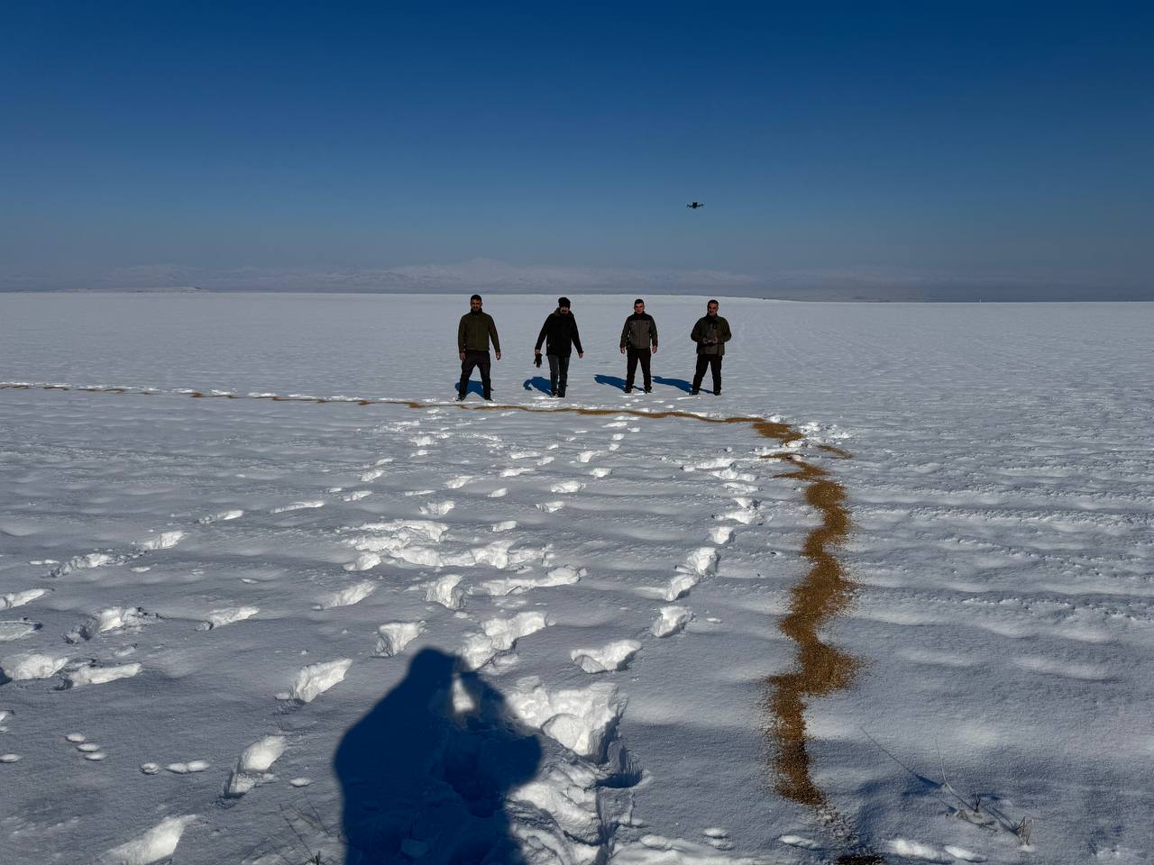 Kar Altındaki Canlar İçin Destek