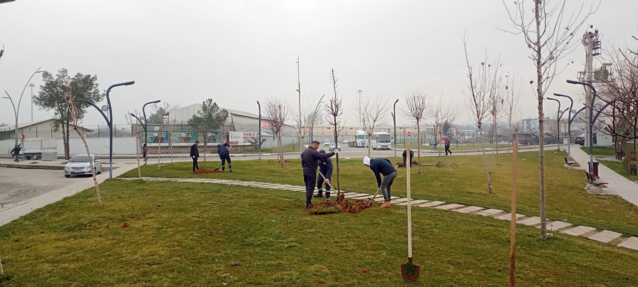 Fidan Dikimi ve Budama Çalışmaları Sürüyor