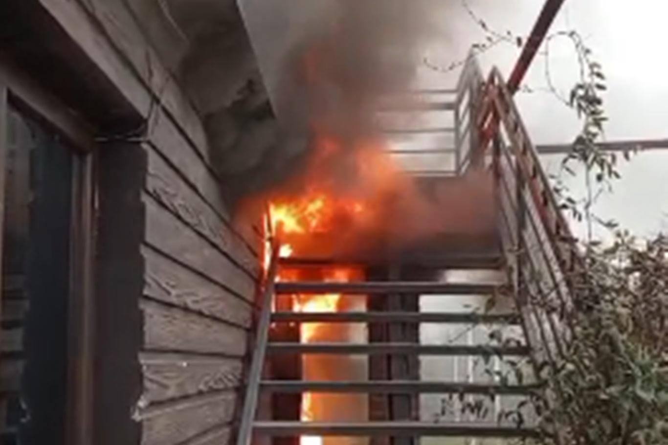 Batman’da At Çiftliğinde Yangın