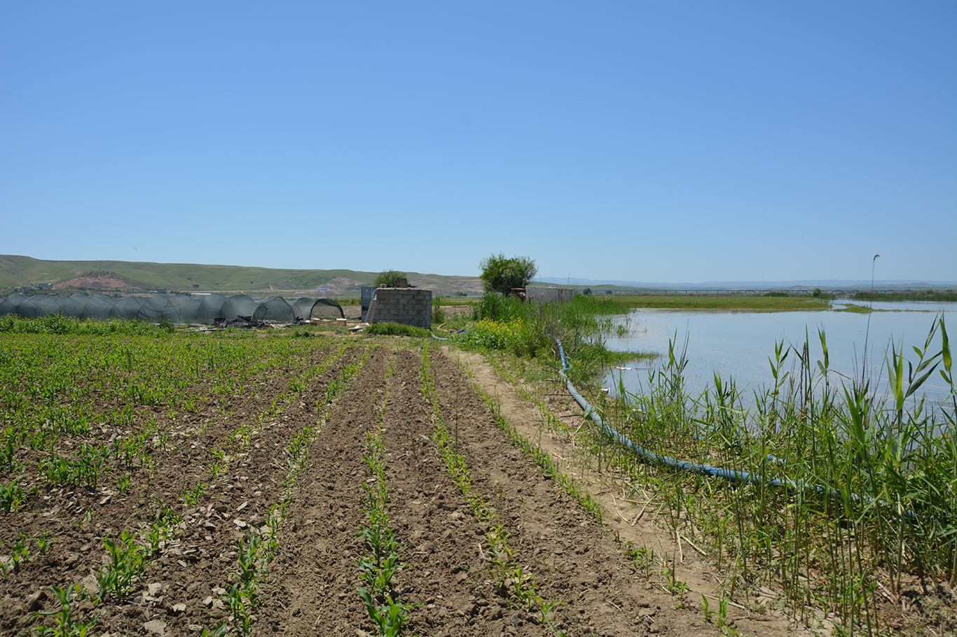 Batman’da çiftçilere kritik uyarı!